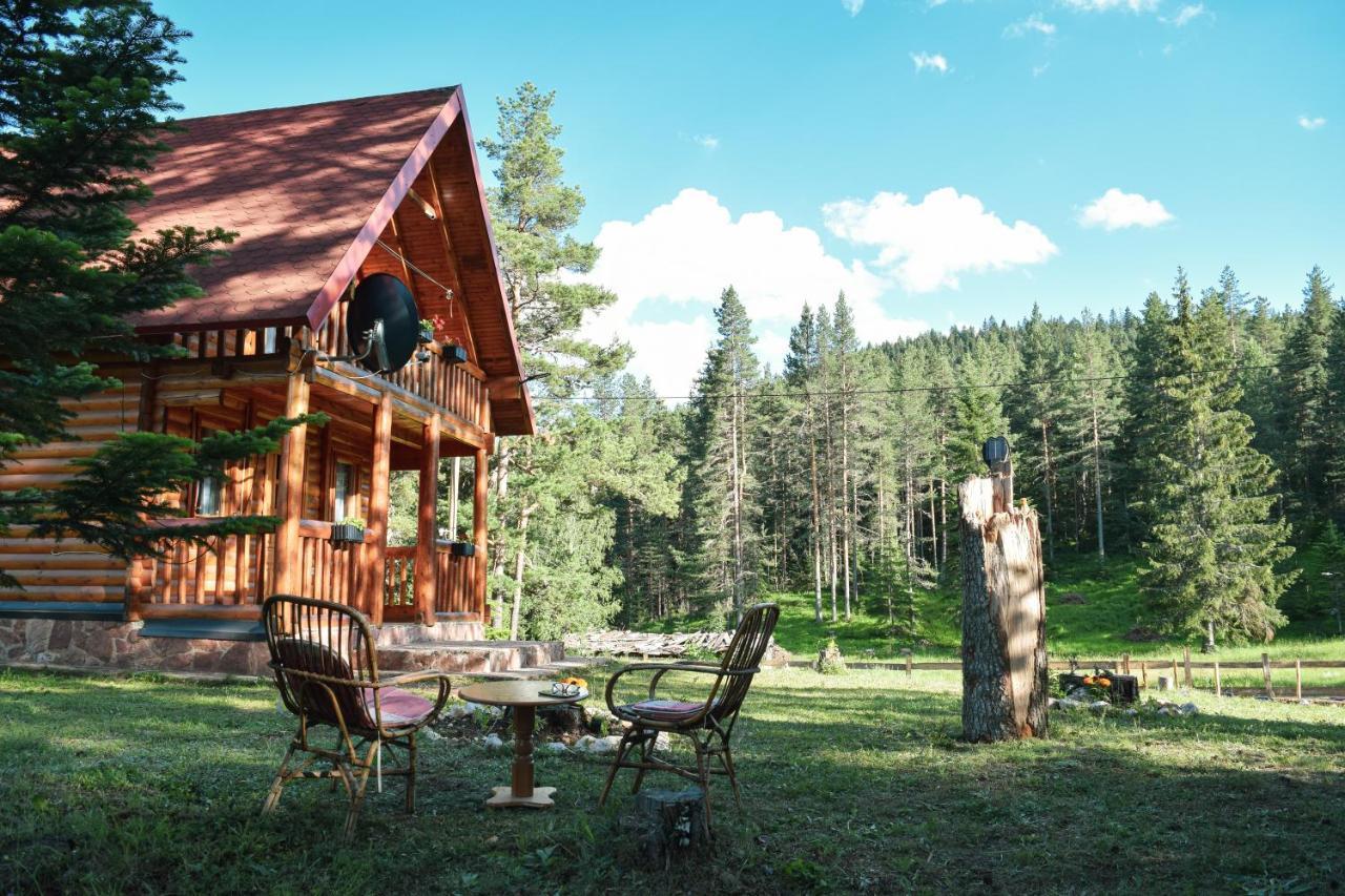 Holiday Home Aster Žabljak Esterno foto